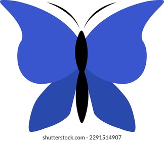Blue butterfly vector illustration for decoration on wildlife and insects world.