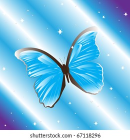 Blue butterfly, vector illustration, eps10