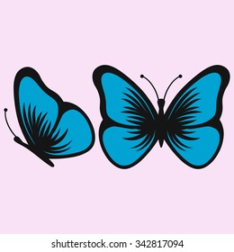 Blue butterfly, vector illustration, isolated on pink background