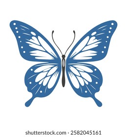 Blue butterfly vector Illustration on white background