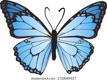 Ilustración vectorial de mariposa azul con detalles nítidos y limpios y alas perfectamente simétricas, aisladas sobre un fondo blanco. Esta obra de arte de Vector de alta calidad presenta un elegante diseño de insectos inspirado en la naturaleza, apto para una amplia gama de proyectos creativos y comerciales. Ideal para branding, diseño de logotipos, arte mural, carteles, impresiones, empaques, papelería, Diseño web, contenido de redes sociales, tatuajes y gráficos decorativos.