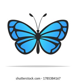 Ilustración aislada del vector de mariposa azul