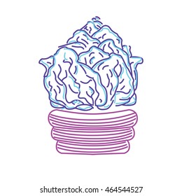 Blue cabbage houseplant