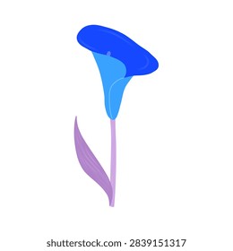 Blue calla lily vector with purple stem. 
