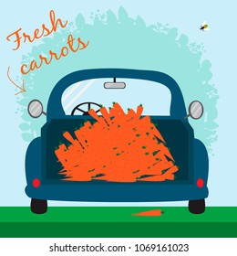 Blue car with lot of carrots, vector illustration