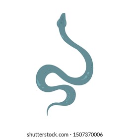 Blue cartoon snake hand drawn isolated on white background - colorful serpent with curvy body shape seen from top view. Flat exotic animal vector illustration