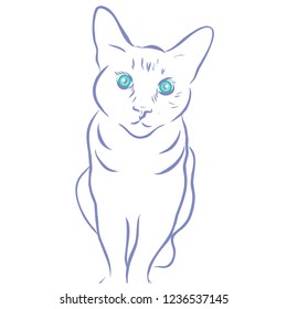 Blue cat with green eyes