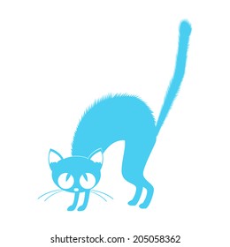 Blue cat Icon Isolated on White Background