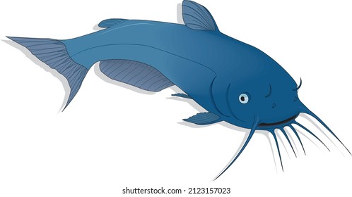 Blue Catfish Ray Finned Fish Species Vector Art Illustration Isolated