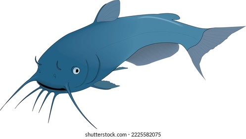 Blue Catfish Swimming Vector Illustration