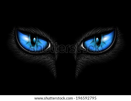 Electric Blue Cat Eyes Black Free Wiring Diagram For You