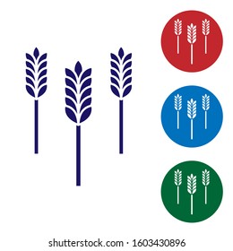 Blue Cereals set with rice, wheat, corn, oats, rye, barley icon isolated on white background. Ears of wheat bread symbols. Set color icons in circle buttons. Vector Illustration