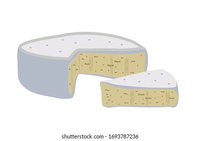 Blue cheese with mold. Blue soft cheese with a rind and blue mold set. Flat vector illustration
