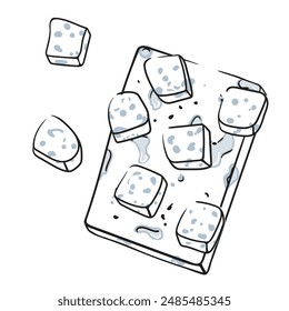Blue cheese piece set isolated on white background. Cheese icon in cartoon style. Vector illustration