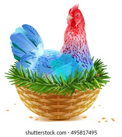 Blue Christmas chicken laying hen symbol of 2017 sits in basket nest on spruce branch. Isolated on white vector cartoon illustration