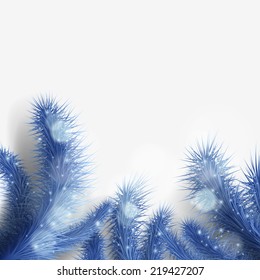 blue Christmas tree branch