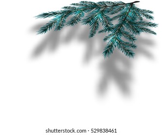 Blue Christmas tree branches on an isolated white background with the shadow in perspective. Vector illustration