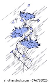 Blue chrysanthemums flower. Vector illustration