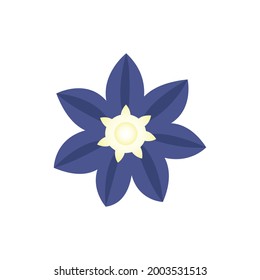 Blue clematis flower. Decorative flowering plant on a white background. The botanical element is flat style. Vector colorful illustration. The object is isolated.