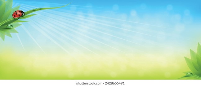 Blue Cloud Background, horizon Spring Clear Sky ,vector beautiful landscape nature sunrise in Summer,Backdrop panoramic banner white clouds over ocean blue Vector background for banner, poster, Web