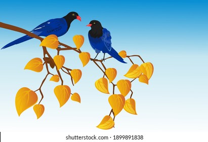 Blue color birds  sitts on tree branch , blue background, vector