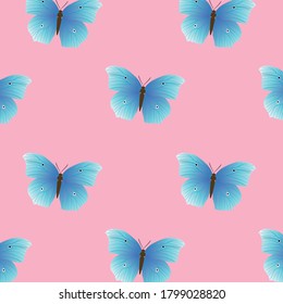 blue color butterfly pattern on pink background vector