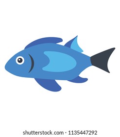 
A blue color fish from cichlid family also called blue dolphin, blue moorii 
