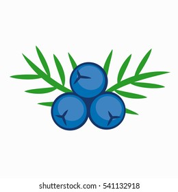 Blue color juniper berry icon vector illustration