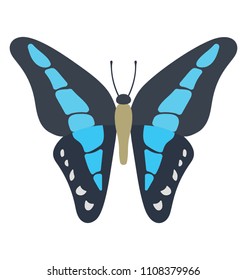 
Blue colored morpho butterfly vector icon image 
