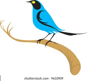  blue coloured bird sitting on the branch of a tree	