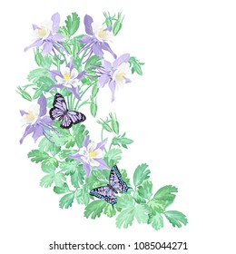 Blue columbine flowers with butterflies on white background, vector illustration.