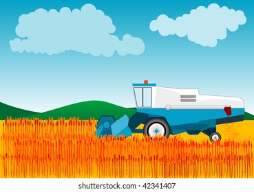 Blue combine is cutting wheat.