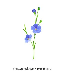 Blue Common Flax or Linseed Cultivated Flowering Plant Specie Vector Illustration