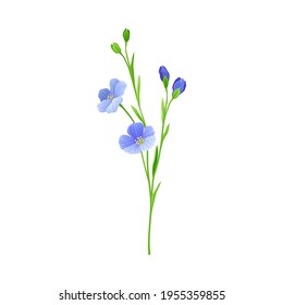 Blue Common Flax or Linseed Cultivated Flowering Plant Specie Vector Illustration