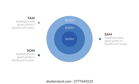 Blue concentric circles display financial tiers. Values $100M, $250M, and $500M are clearly marked. Labels TAM, SAM, and SOM frame the diagram's context