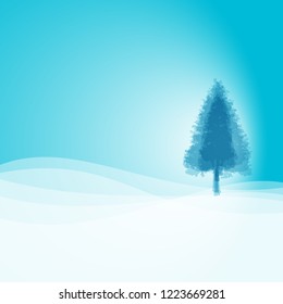 Blue conifer tree winter holidays  background