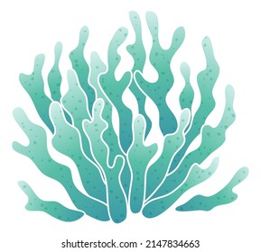 Blue coral. Branching reef flora. Exotic wildlife