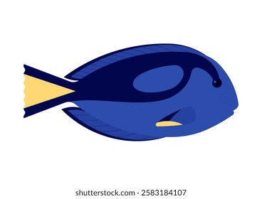 Blue coral reef fish. Surgeonfish, Blue tang , side view, ocean fish. Biological name - Paracanthurus. Simplicity vector illustration, isolated on white background.