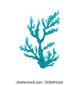 blue coral sea life nature icon vector illustration design