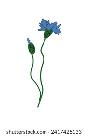 Flor de maíz azul con brote - ilustración vectorial, elemento de diseño para embalaje, web, tarjetas, textil, decoración