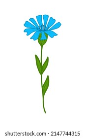 Blue cornflower, doodle vector illustration. Twig of wild cornflower. Clipart. Flowers are drawn by hand. Design for postcards, compositions and stickers.