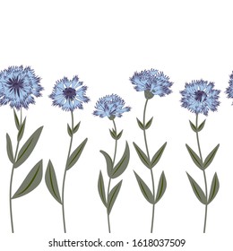 blue cornflower blue seamless pattern on white isolated background. Vector hand-drawn stock illustration. Stylized flowers and leaves. background set. summer wildflowers. symbol of the Slavonic bazaar