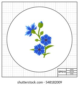 Blue cornflower vector icon
