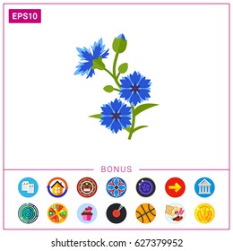 Blue cornflower vector icon