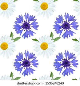 Blue cornflower and white Daisy flower with leaves on white background, geometric pattern, floral seamless texture, vector.