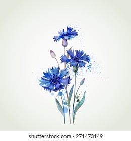 blue cornflowers by watercolor Elements