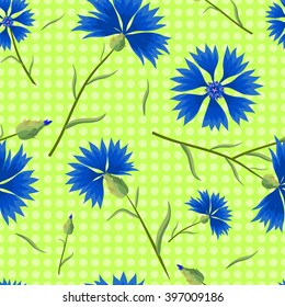 Blue cornflowers on a light green background with polka dots. Summer seamless pattern. Vector illustration with flowers.