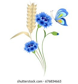 Blue cornflowers and wheat ears with a butterfly on a white background.