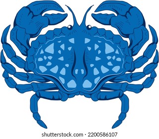 Blue crab design for any purpose