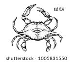 blue crab hand draw on white background